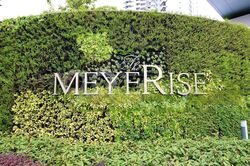 The Meyerise (D15), Condominium #457949421